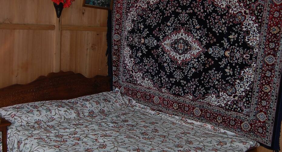 Houseboat Suzan, Srinagar 3